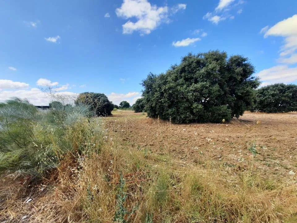 Urban plot in Escalona, 1,000 m²