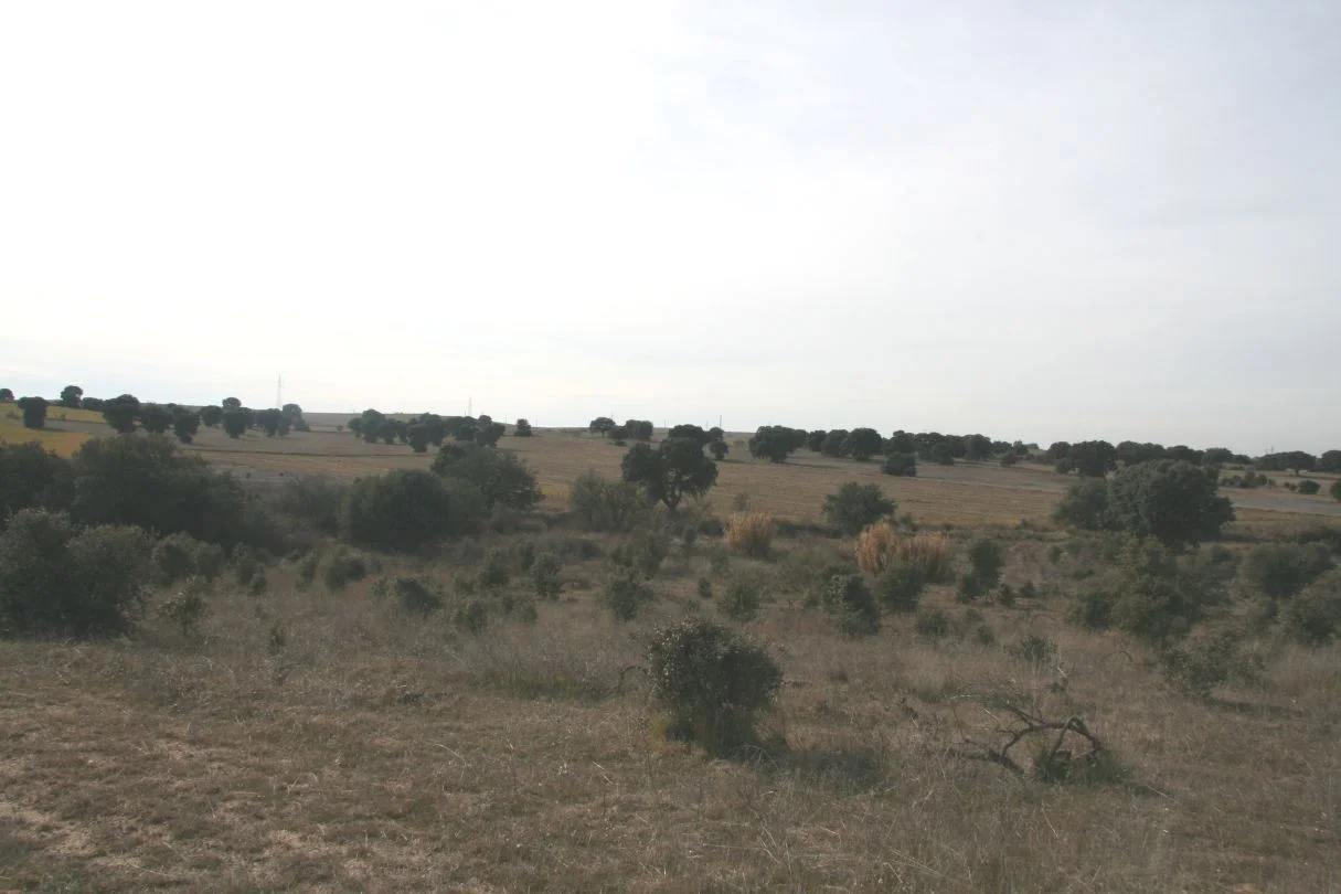 Rural Escalona plot, 34,048 m²