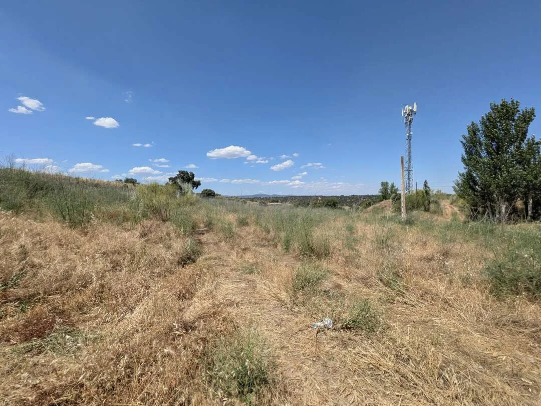Large mixed-classification plot near Escalona