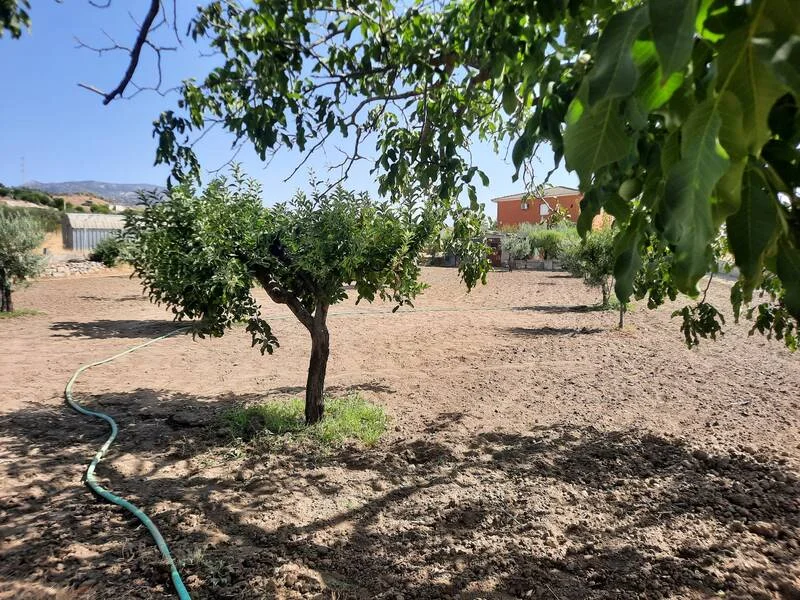 Urban Nombela plot with wells