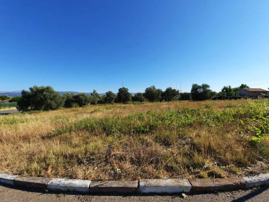 Commercial land in Escalona, 3,000 m²