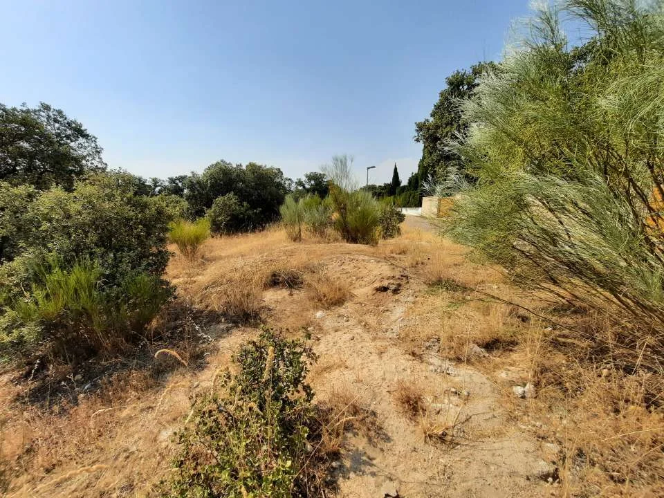 Urban plot near Alberche River