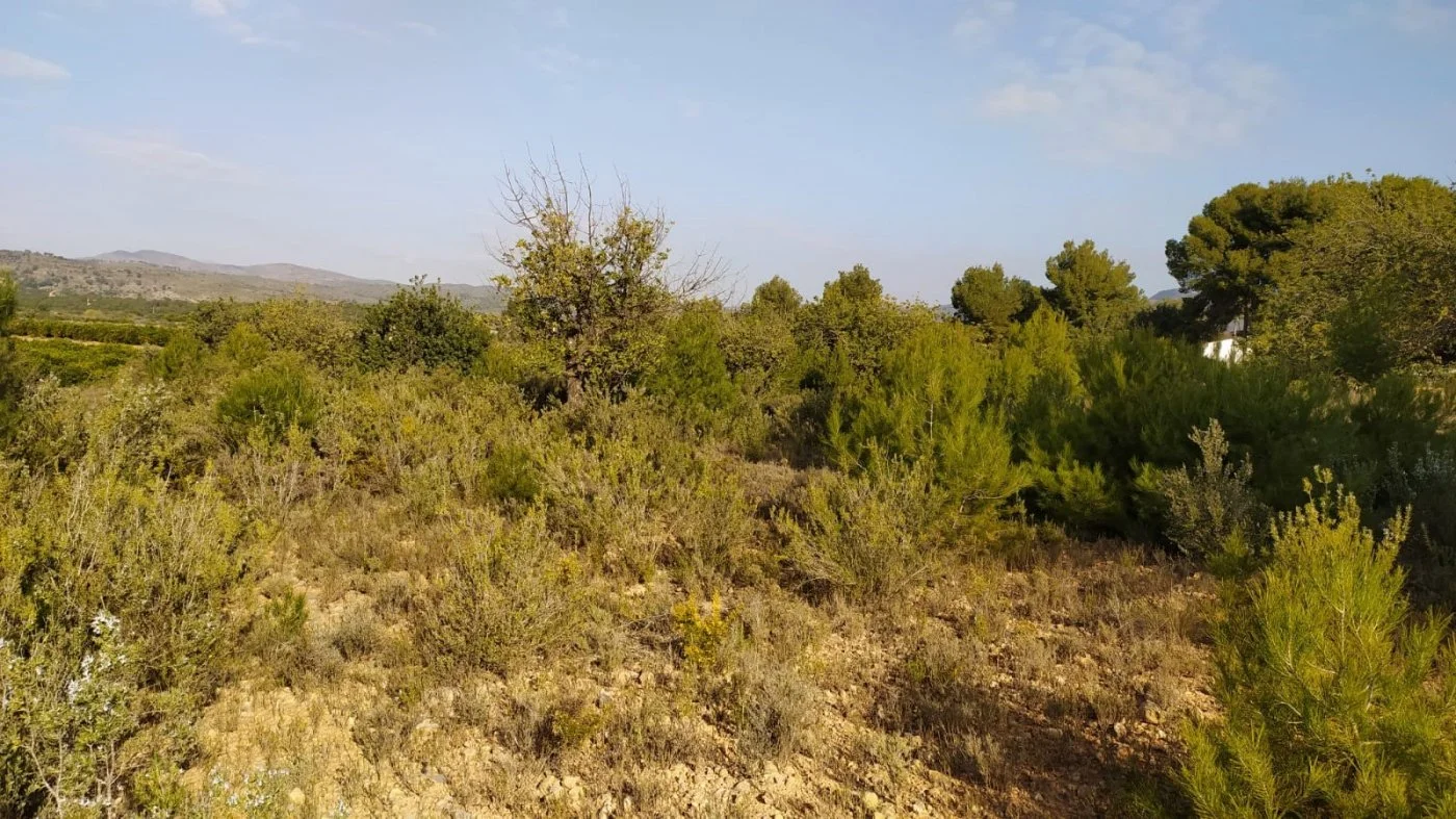 Rural plot near Llíria with mountain views