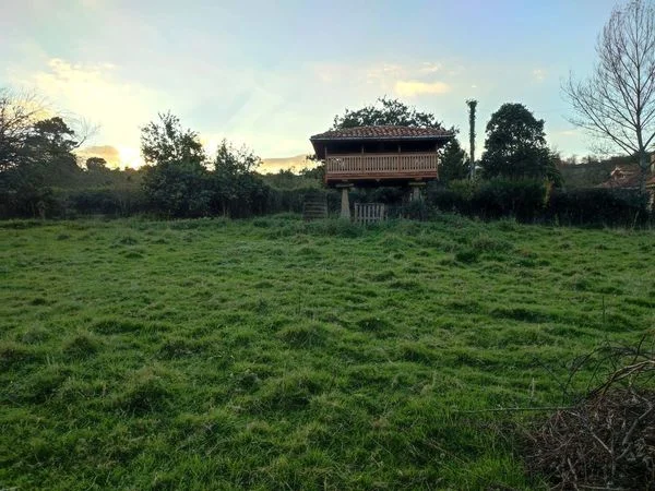 Urban plot with restored horreo
