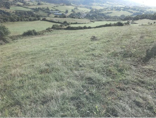 Carreño rural parcels, 1,708–13,700 m²