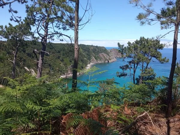 Cudillero flat with sea views, potential