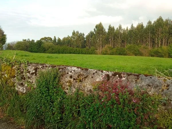Coastal finca with subdivision potential