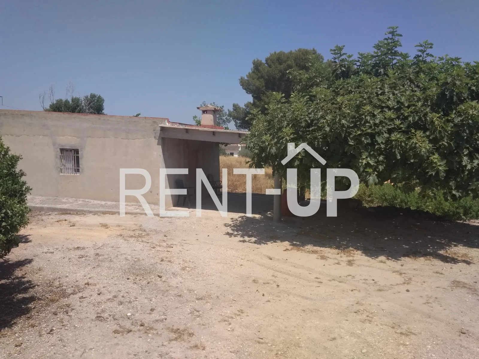 Productive citrus plot near Xàtiva