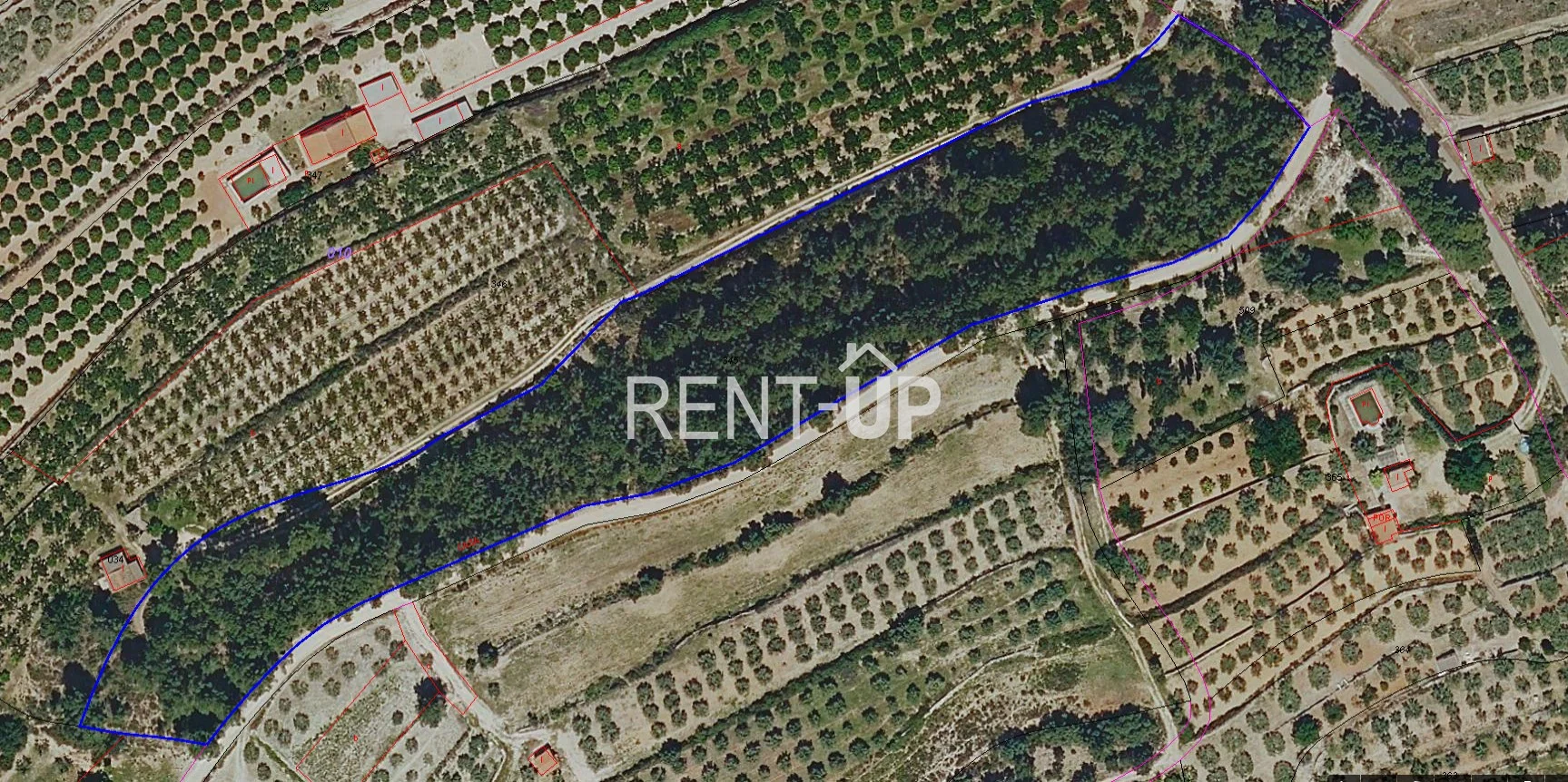 Vallada rural plot with pine grove