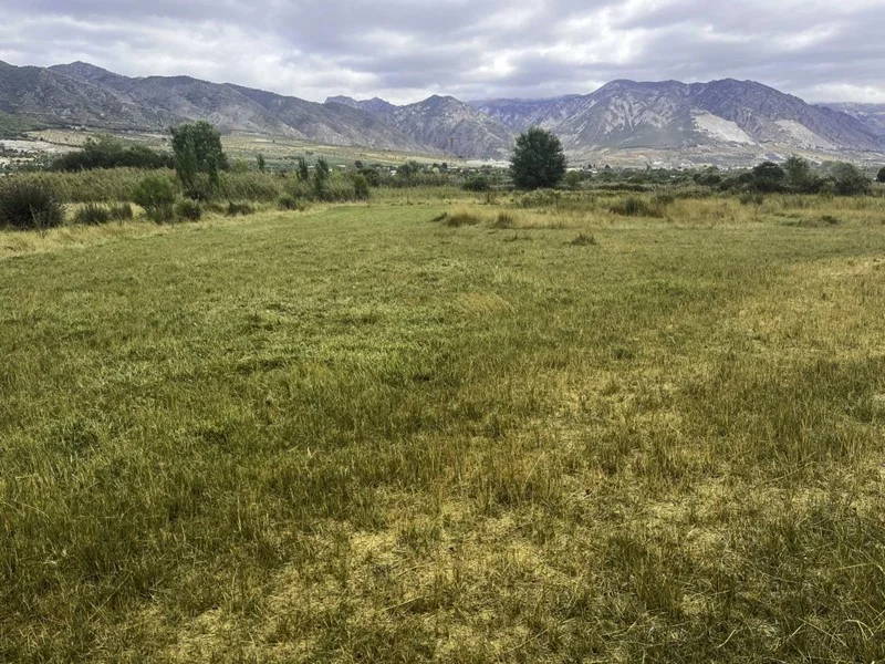 Irrigated Padul land, 1,200 m²