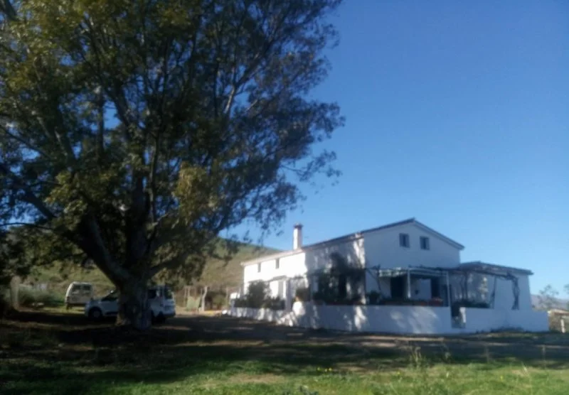 Rural cortijo with 52,000 m² grounds