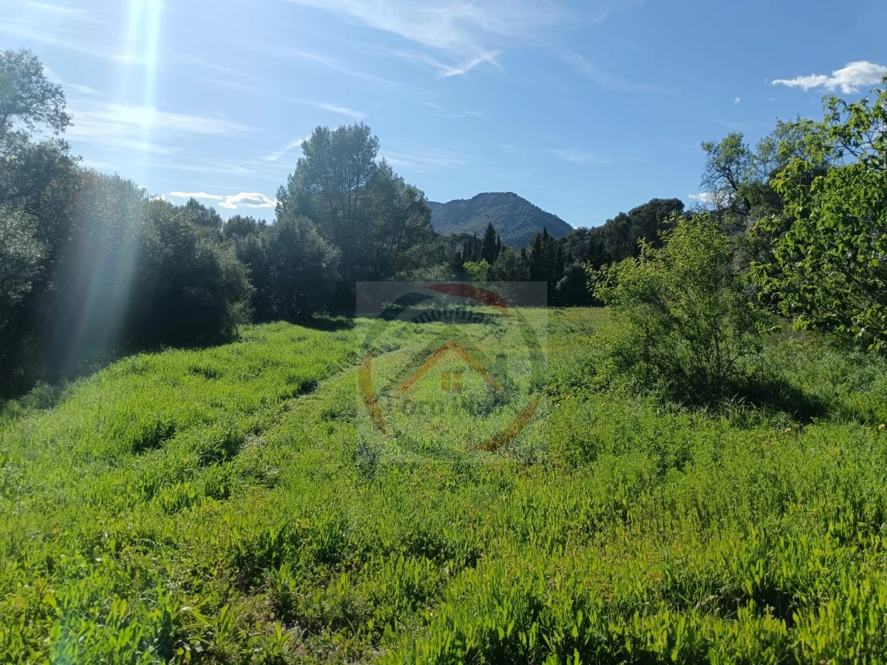 Urban Xàtiva plot, 3,071 m²