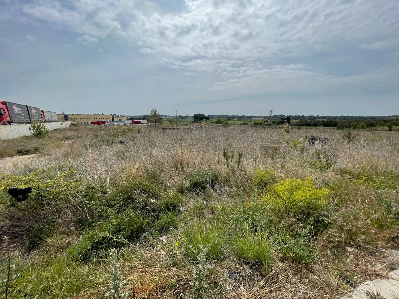 Large urban development plot, Puigpelat
