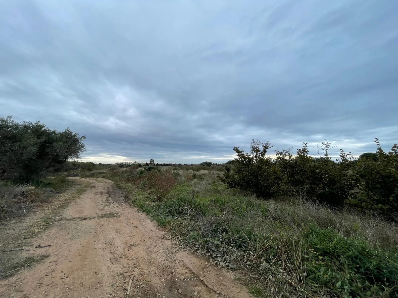Parcela rústica en Vilafortuny, 4.657 m²