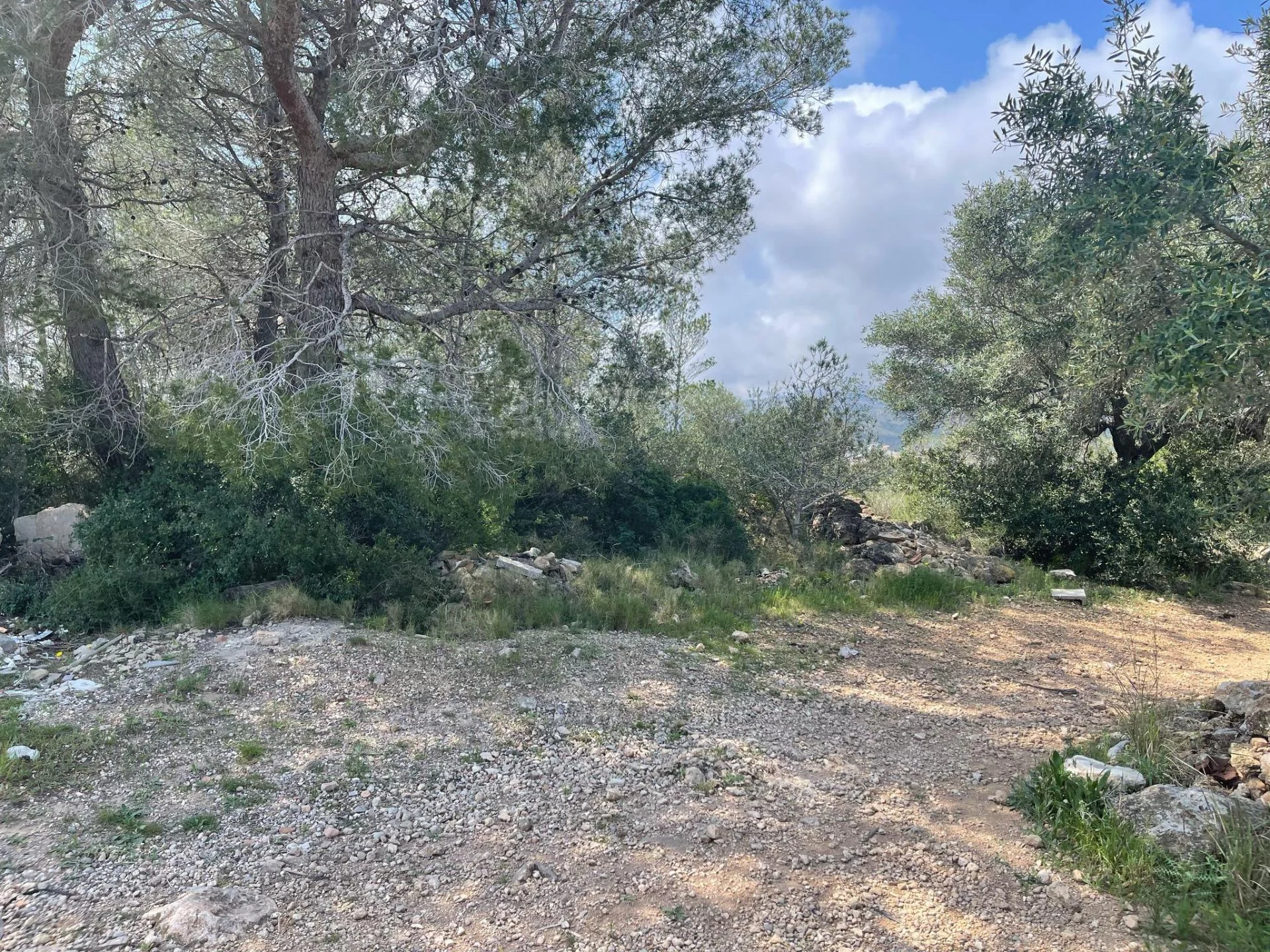 Developable coastal land, 7,769 m²