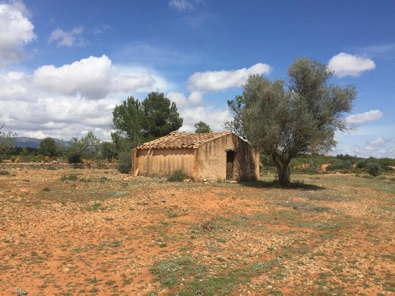 Rural plot with 32 m² farmhouse