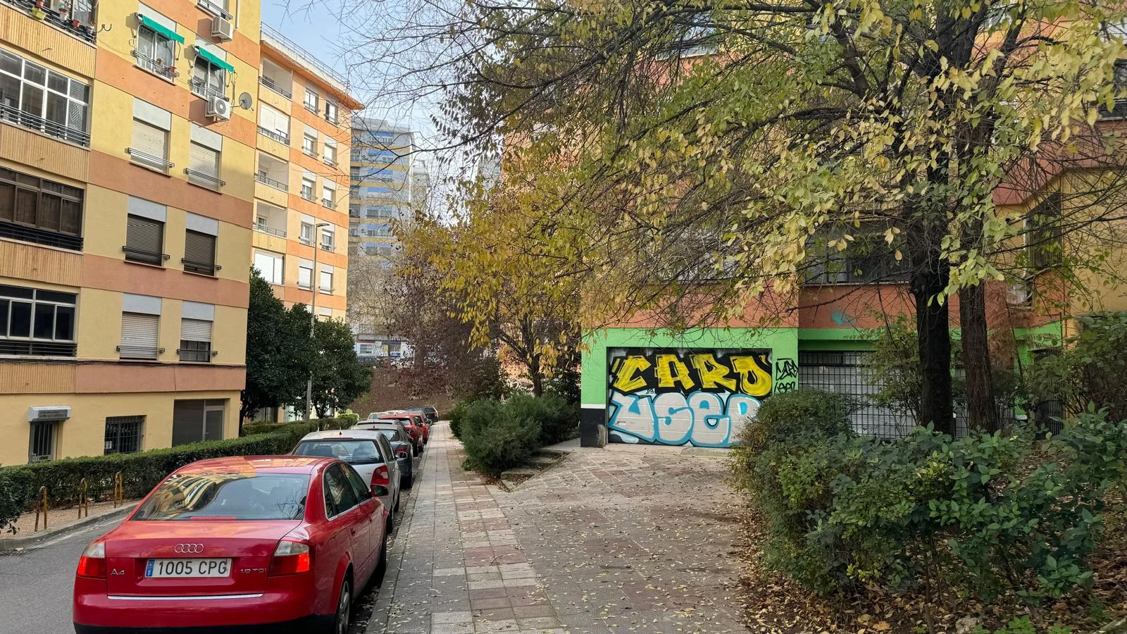 Open-plan commercial unit in La Madrila