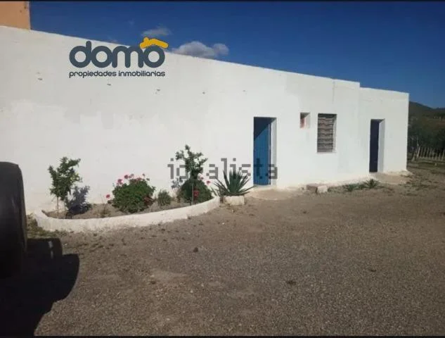 Cortijo rural con olivar productivo