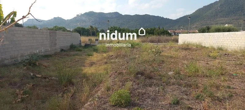 Urban plot near British School
