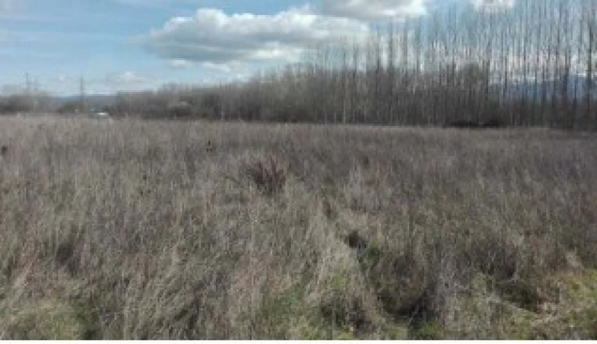 Rural farmland near Ponferrada, 1,112 m²