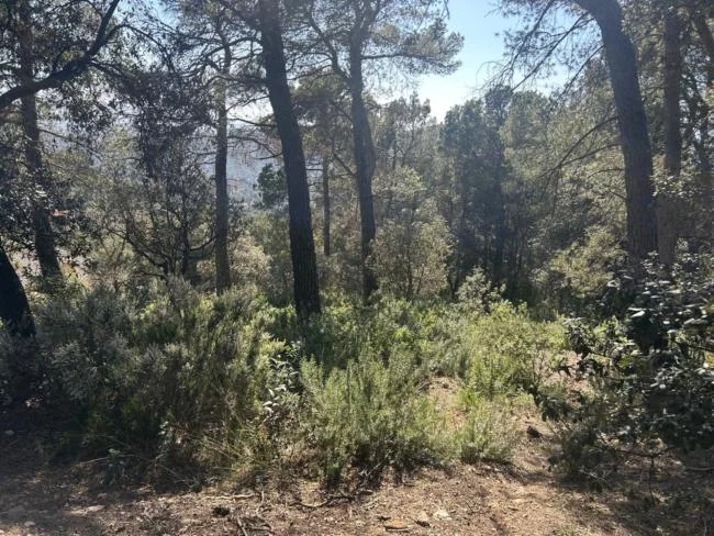 Parcela en Matadepera de 2.276 m²