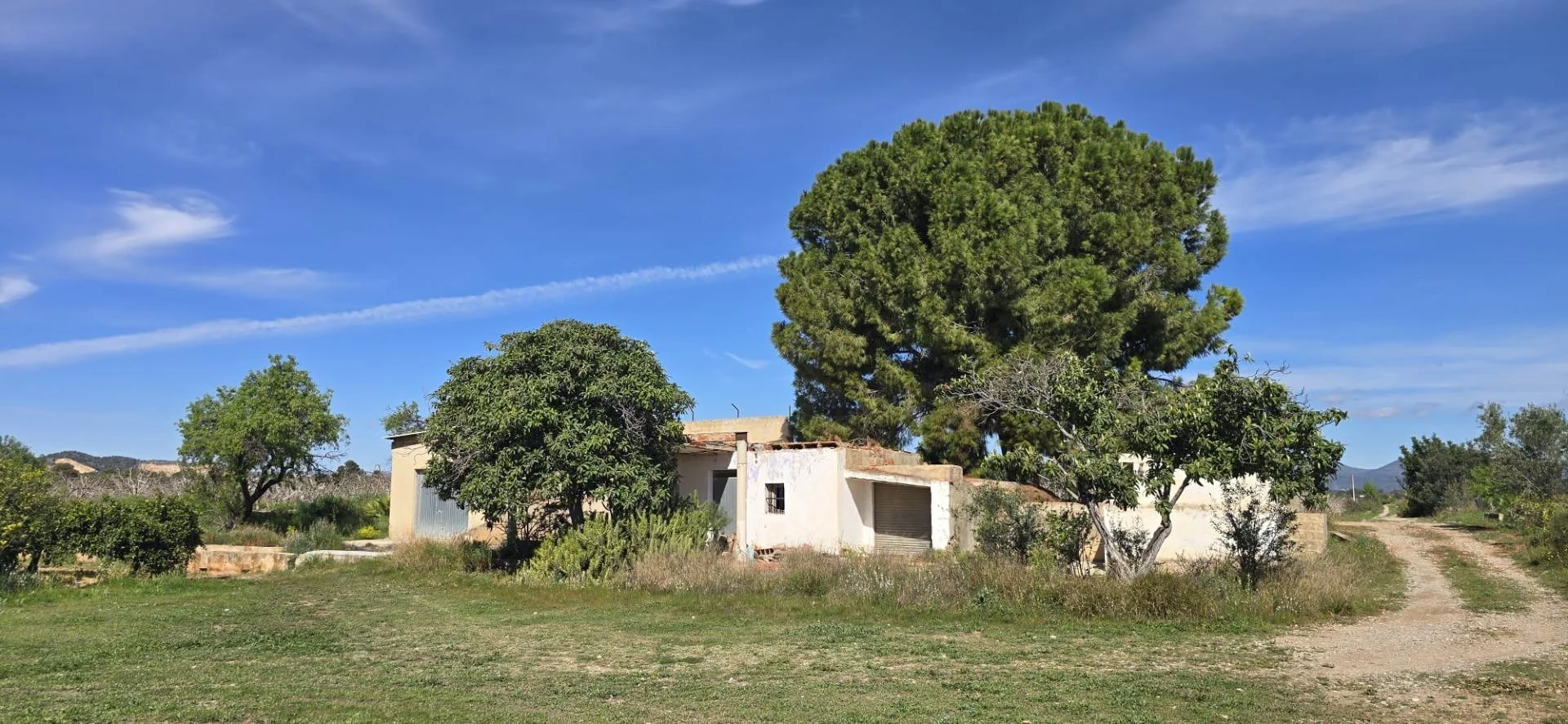 Productive citrus finca with buildings