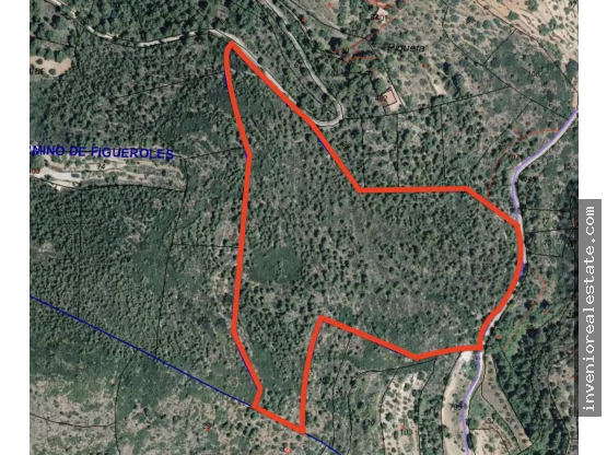 Rural land near Figueroles, 59,101 m²