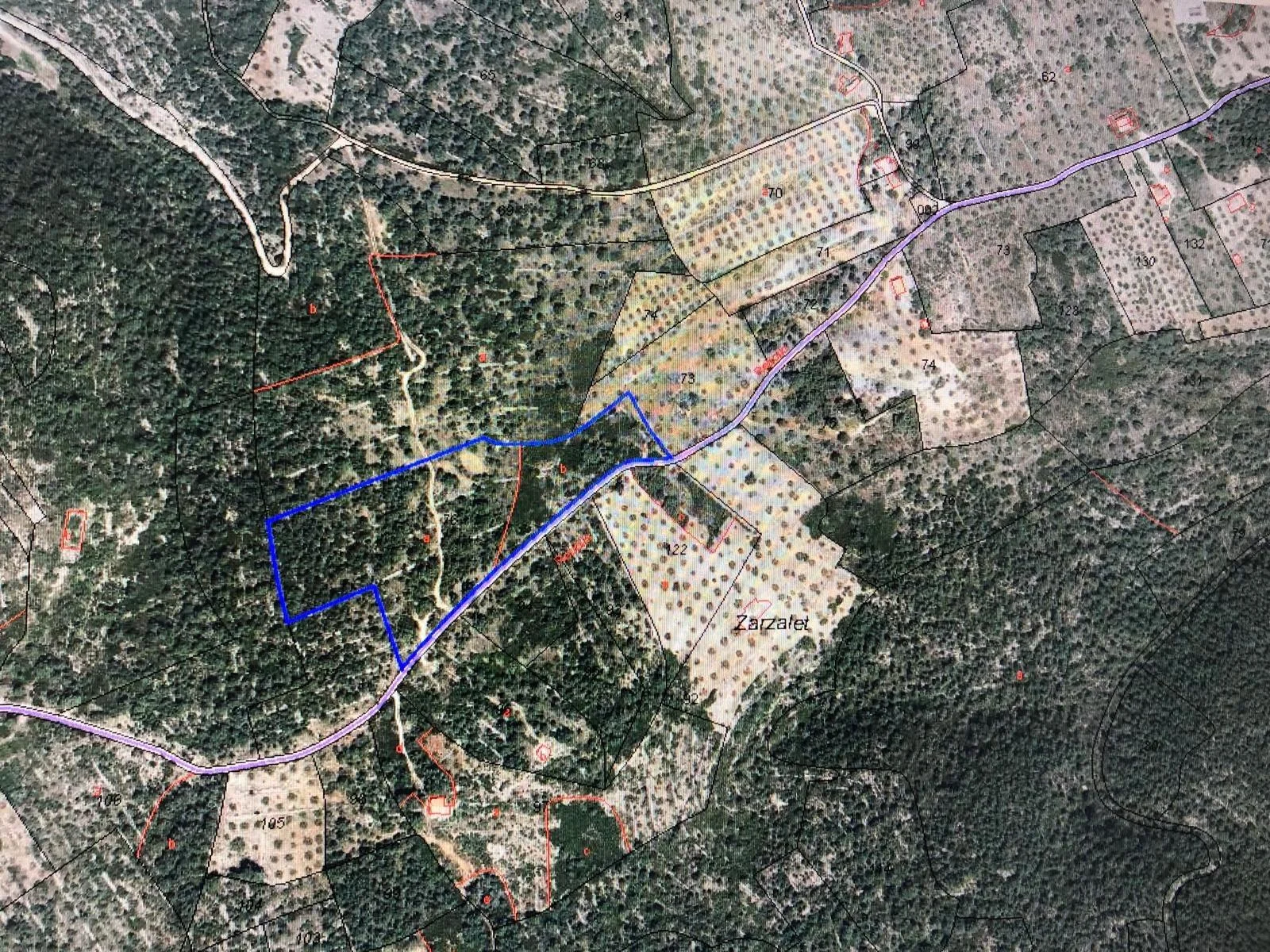 Large wooded land near Chella