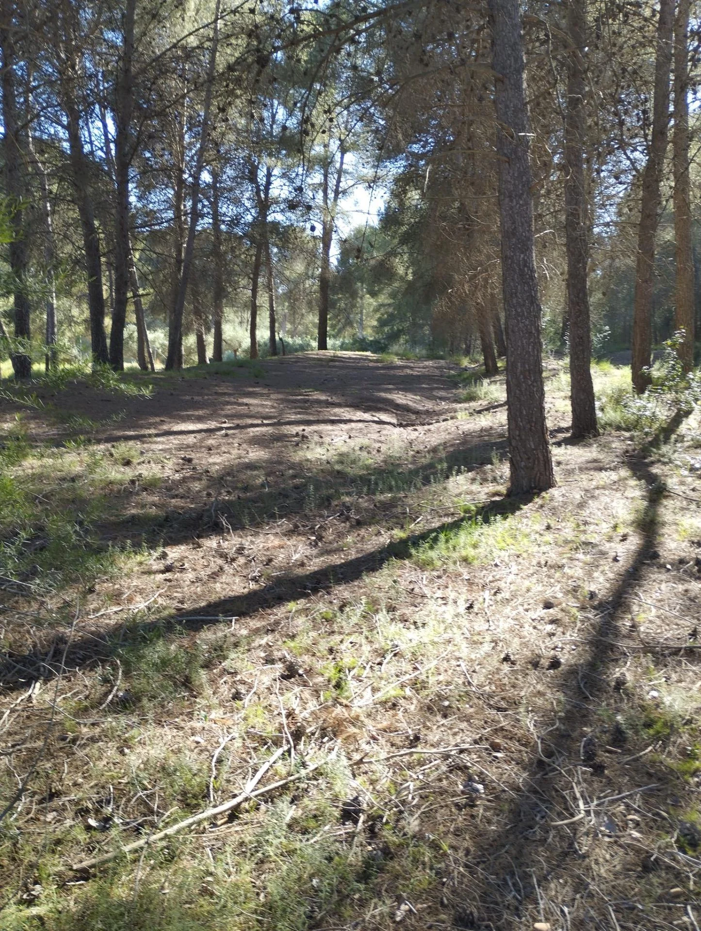 Protected rural land with panoramic views