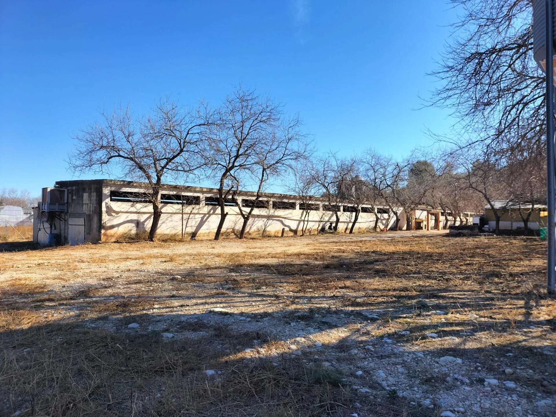 Rural rabbit farm with extensive facilities