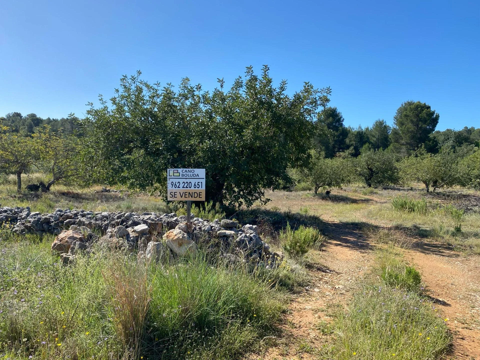 Rustic Bolbaite plot with carob trees
