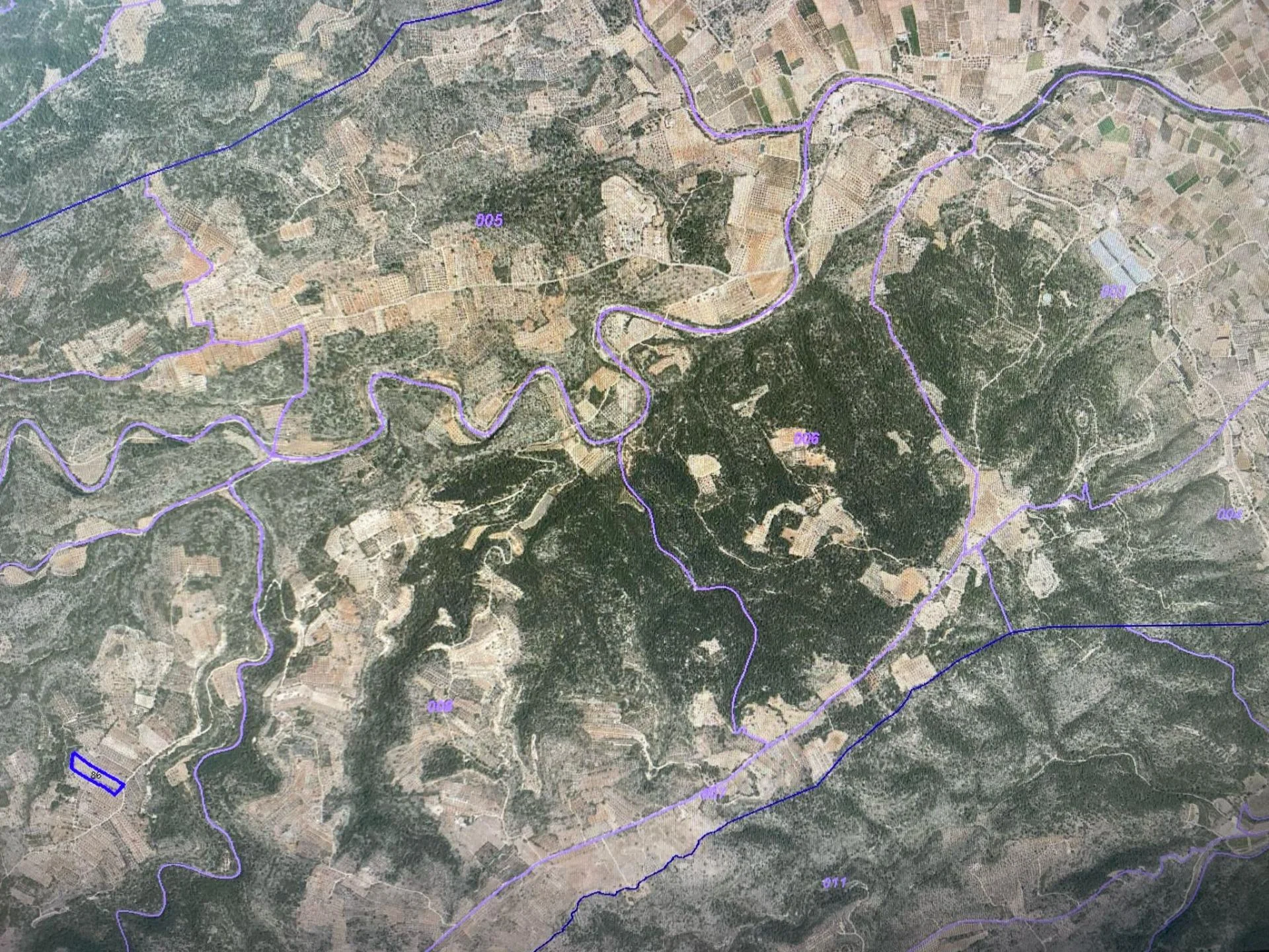 Rural olive plot in Bolbaite, 11,471 m²