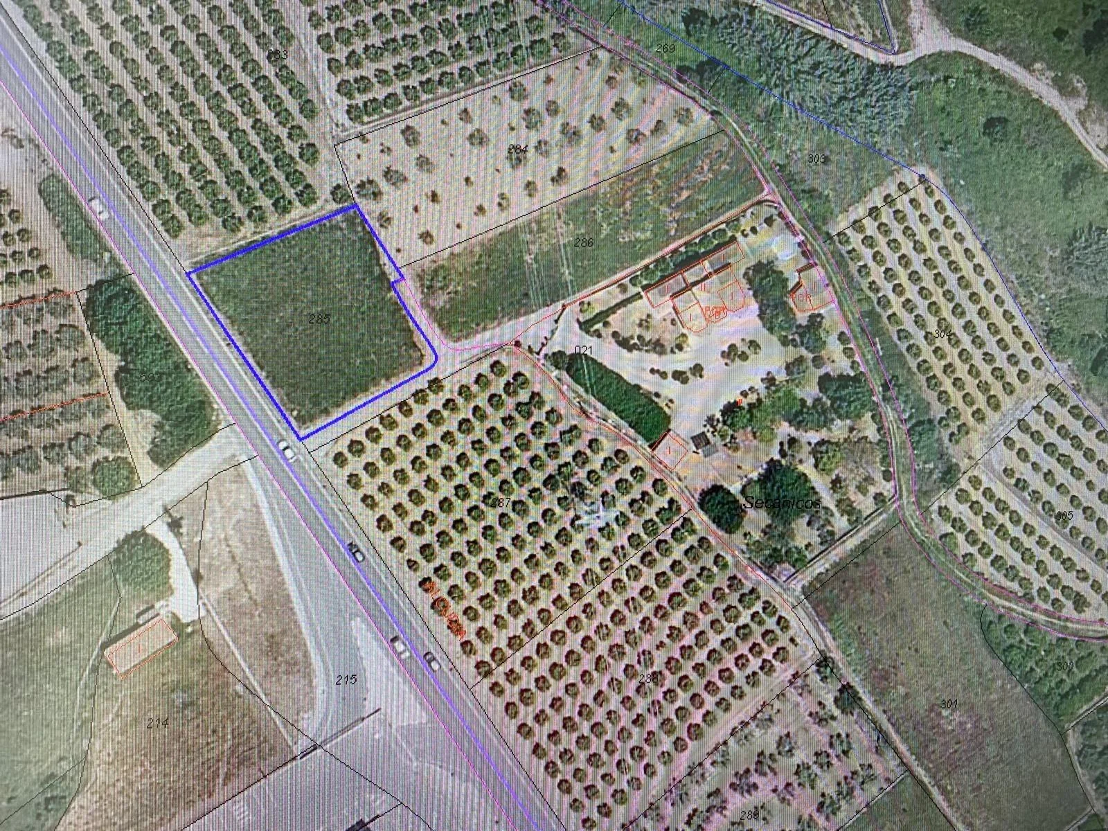 Rural plot near Chella, 1,211 m²
