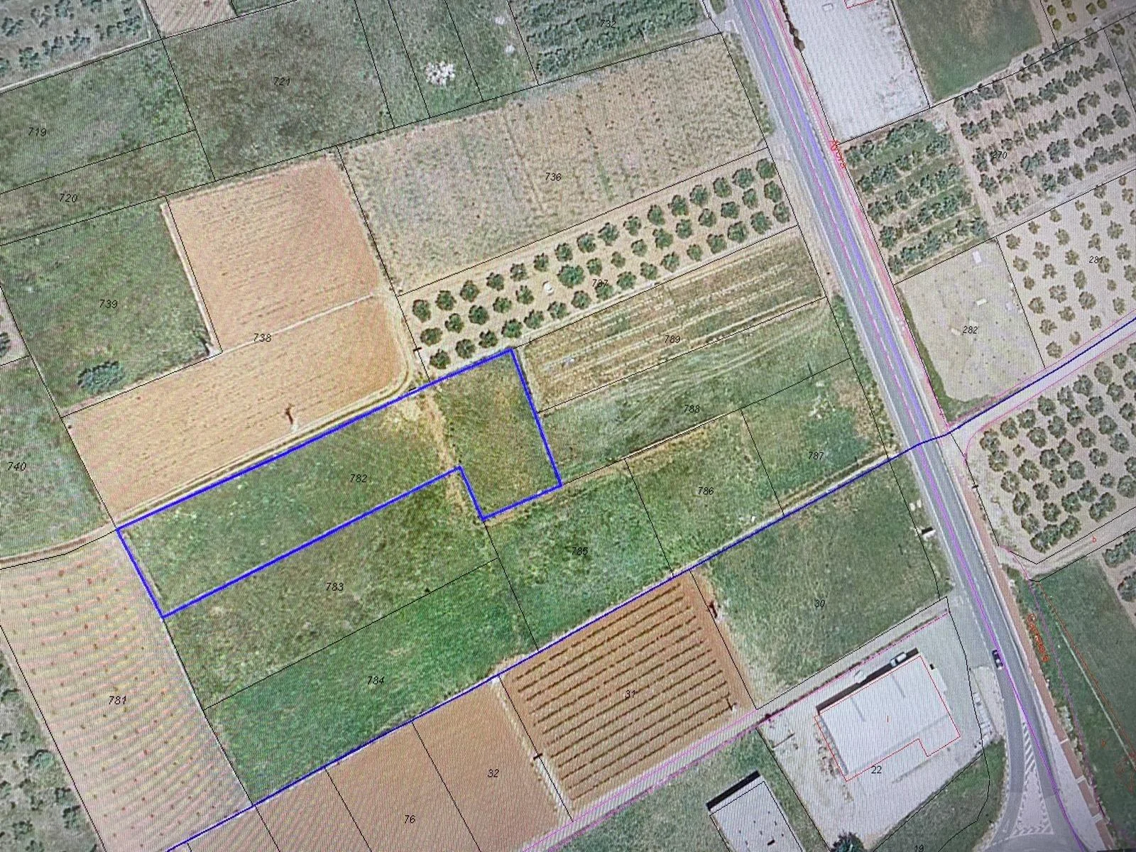 Rural plot near Chella, 2,387 m²