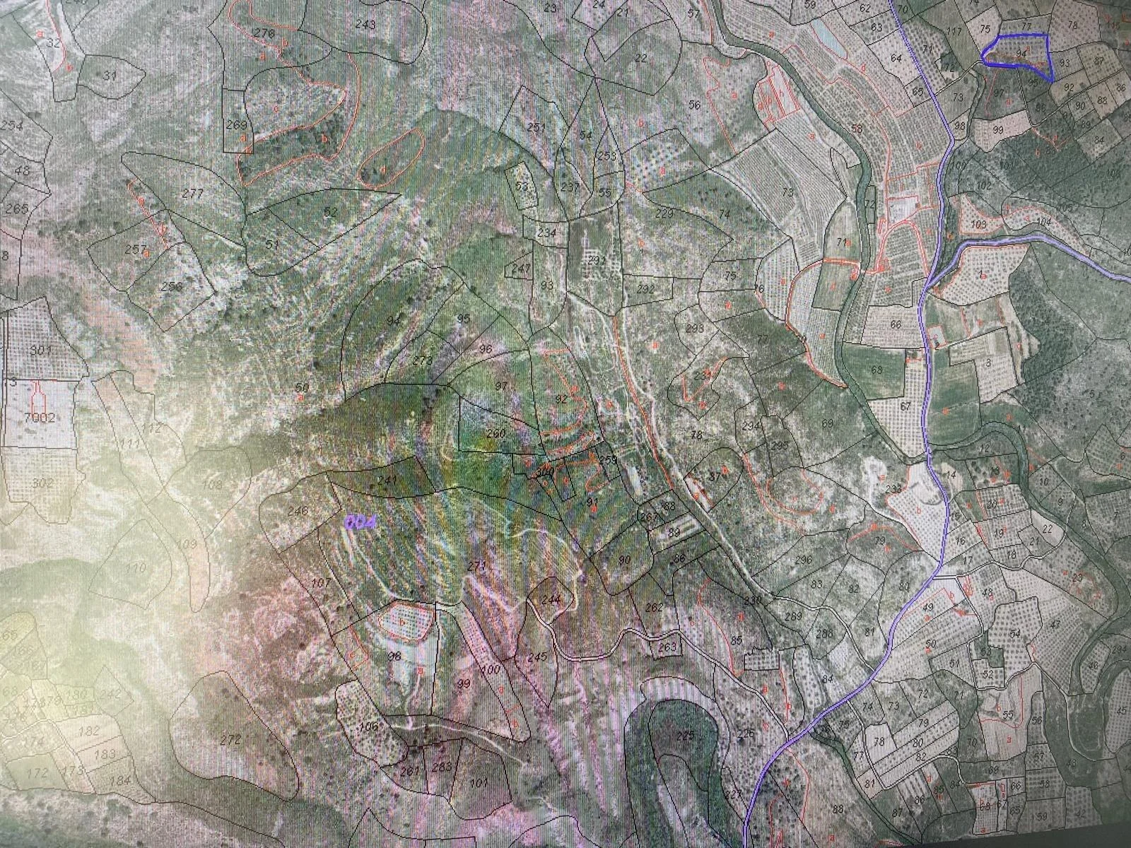 Rural Chella plot with olive groves