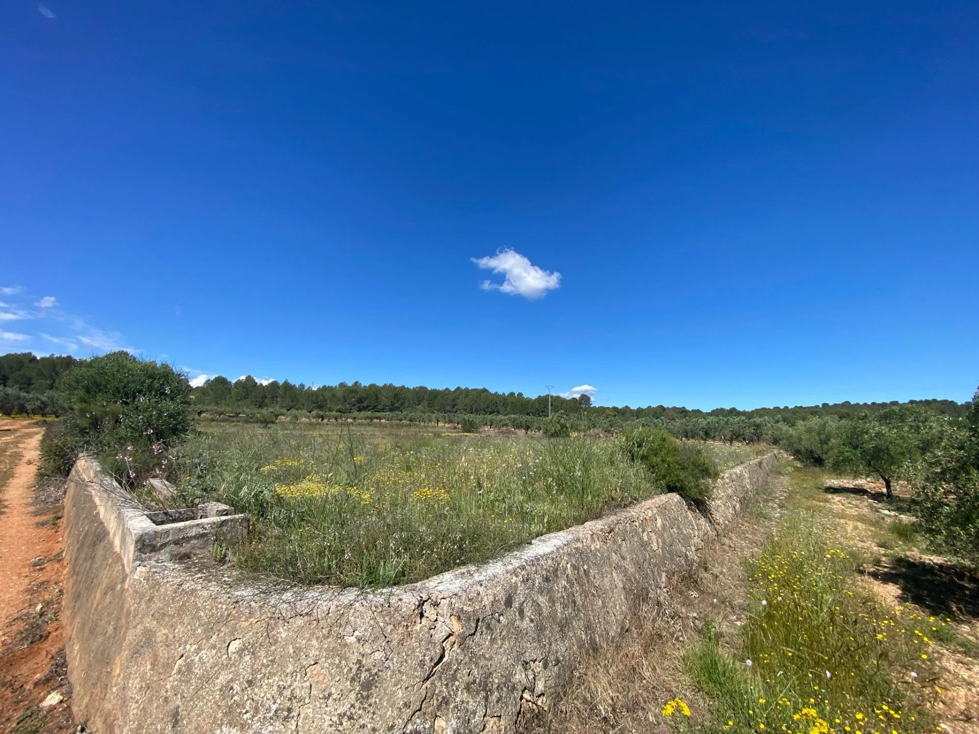 Rural plot near Chella, 6,162 m²