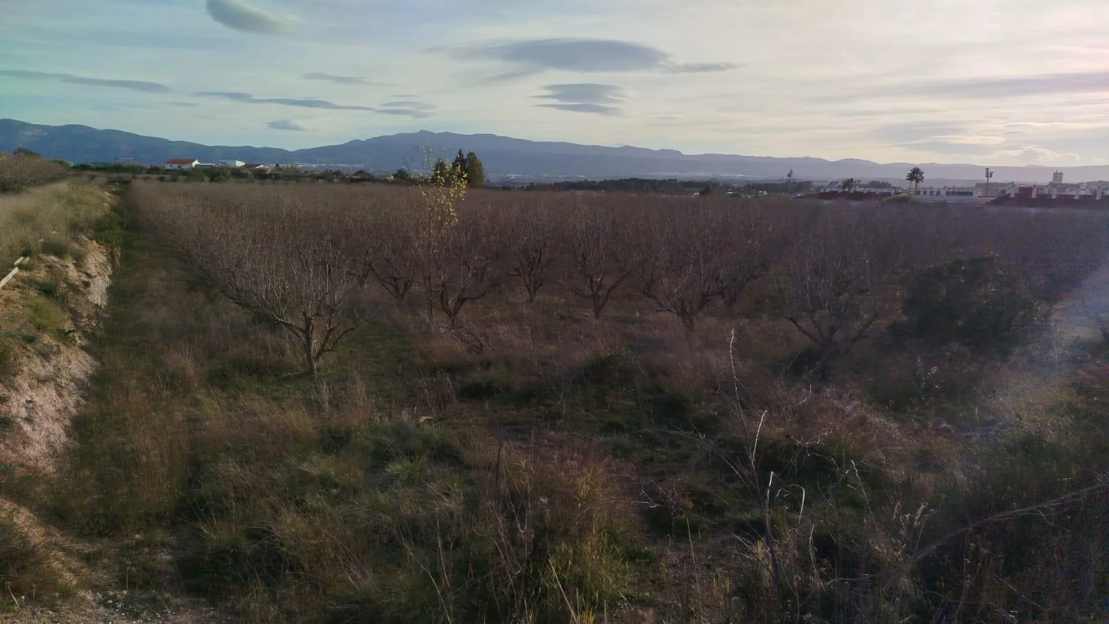 Rustic land in L'Olleria, 37,892 m²