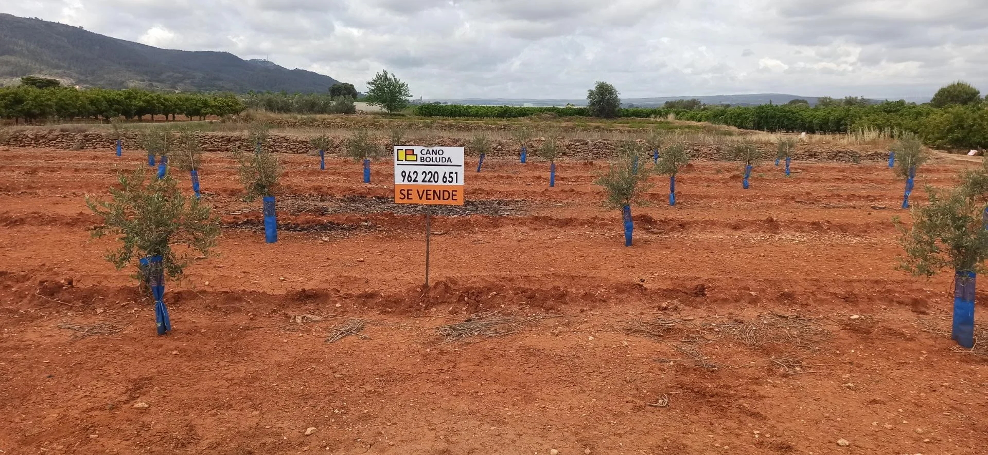 Flat rural plot near Albufera