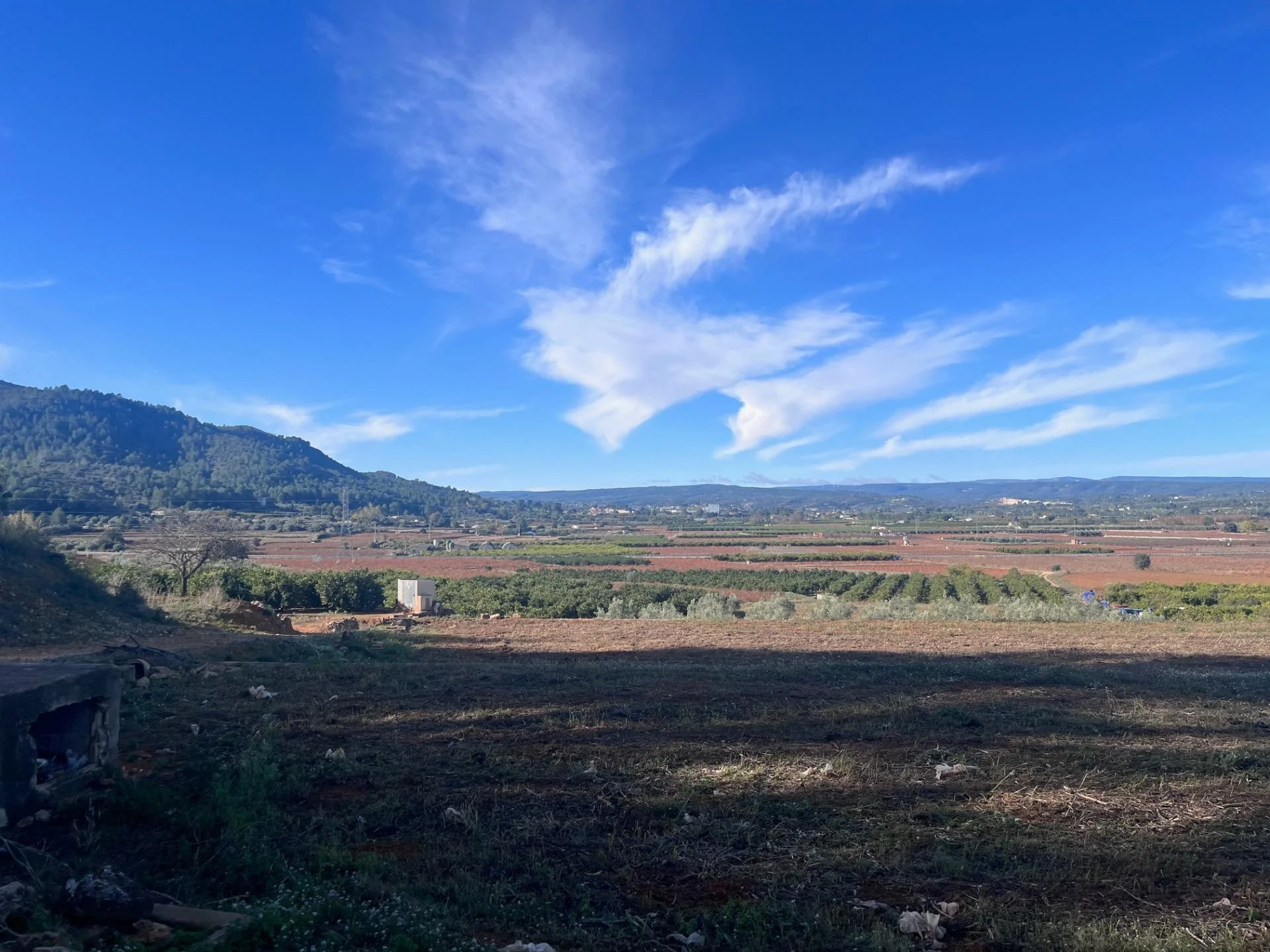 Rustic plot near Anna, 4,418 m²