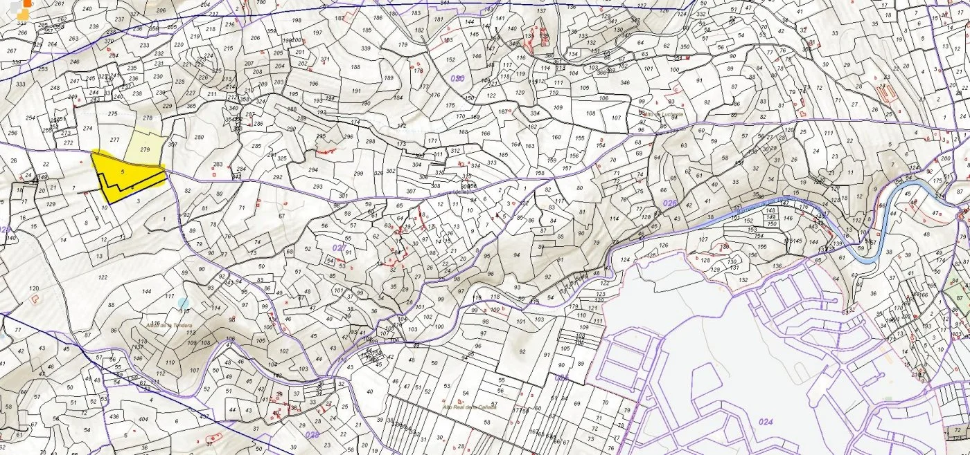 Rural olive plot near Anna, 25,544 m²