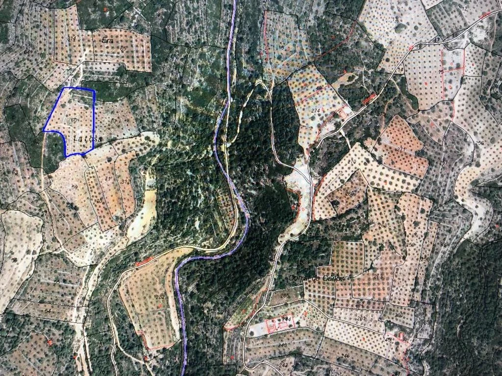 Rural plot in Bolbaite, 8,342 m²