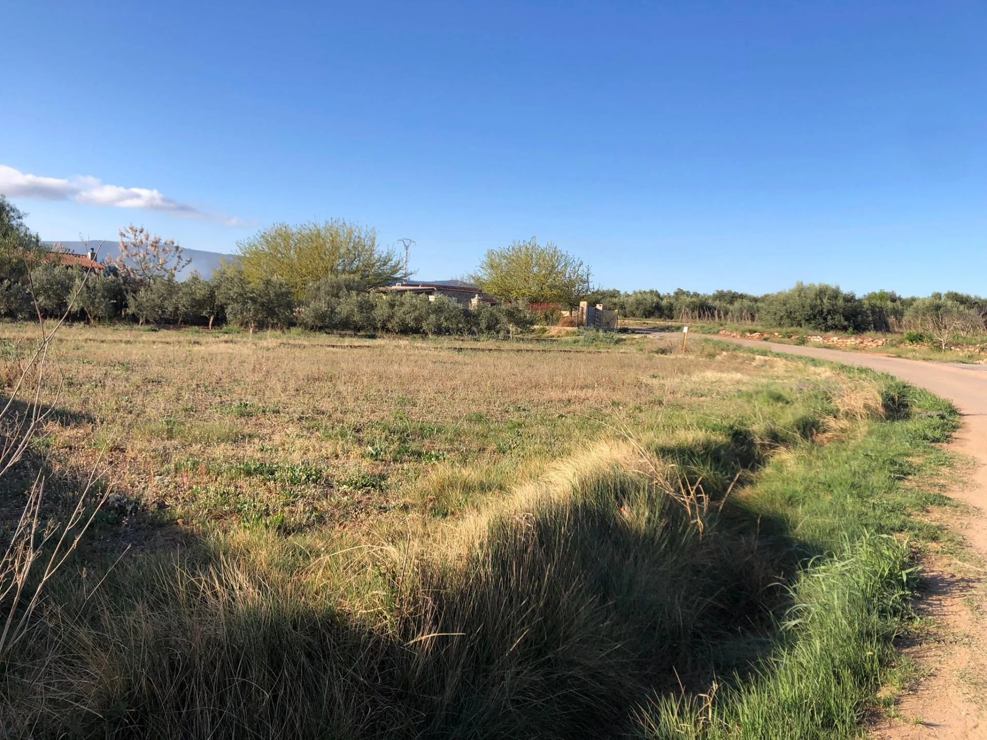 Rural plot near Chella, 1,518 m²