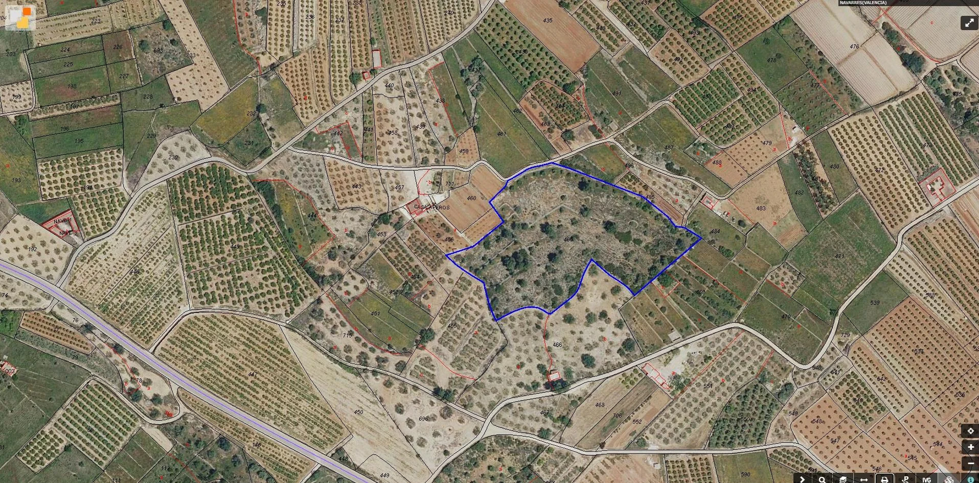 Large rustic plot with olive trees