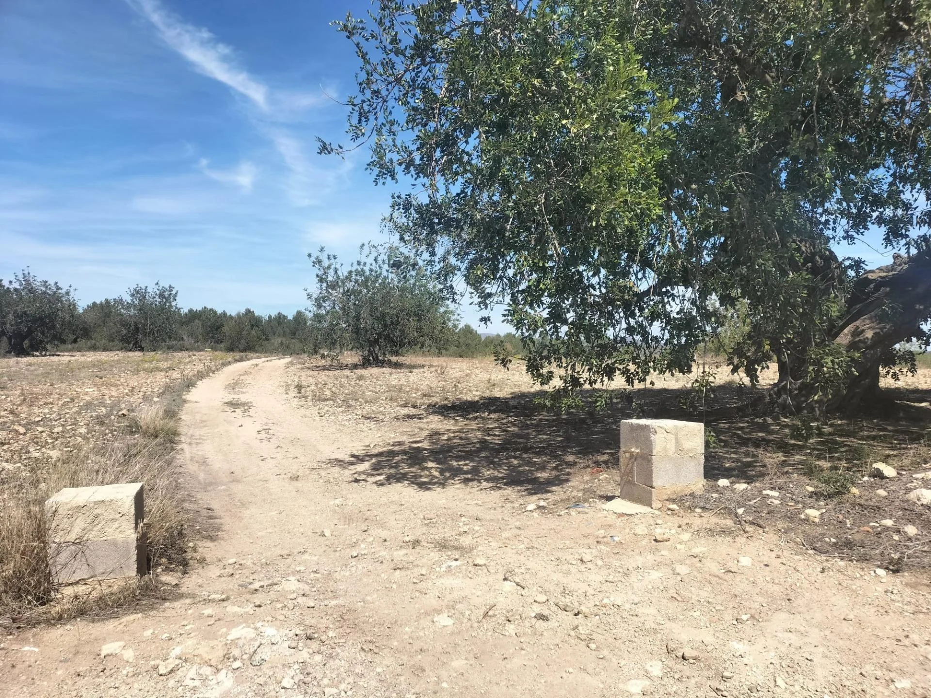 Large rural plot near Navarrés