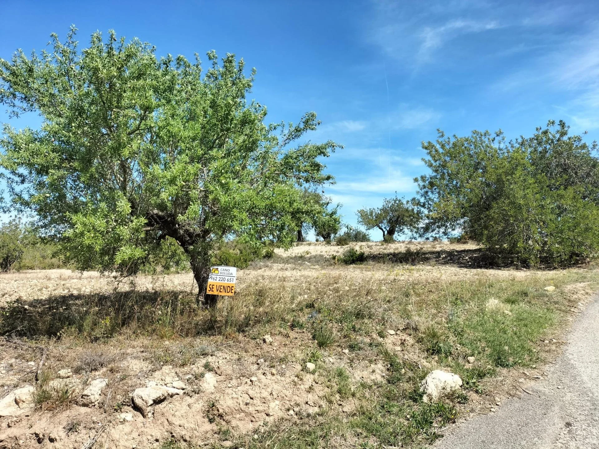 Rural Navarrés land, 33,263 m²