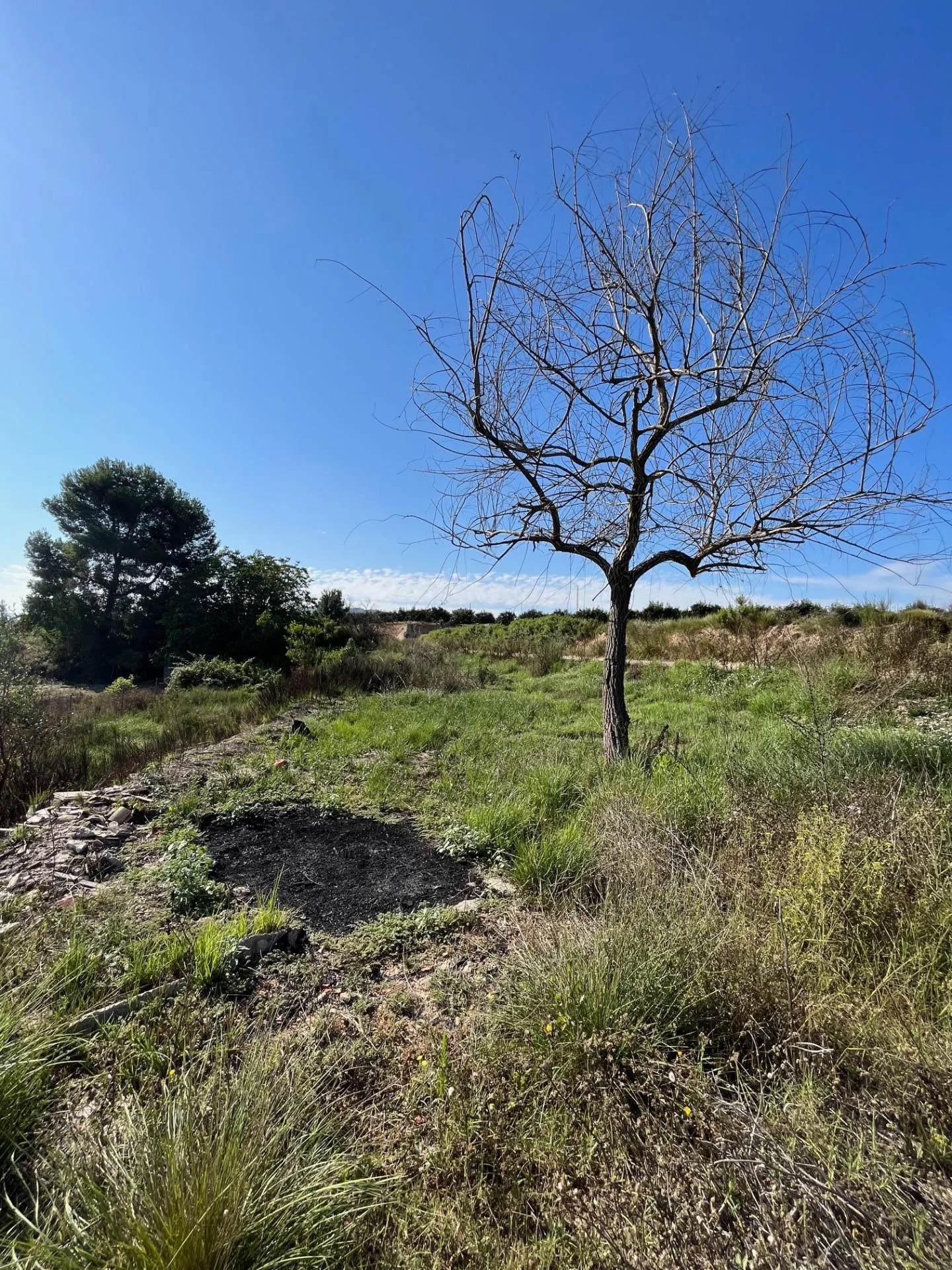 Rustic plot near Rotglà i Corberà