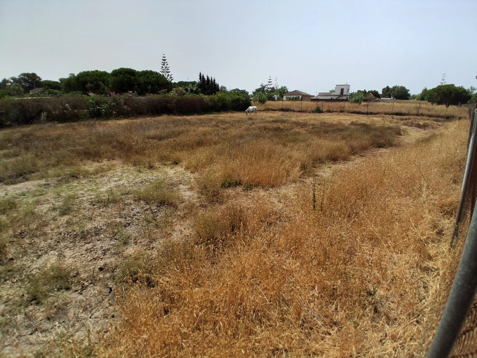 Large rustic plot near Costa Ballena