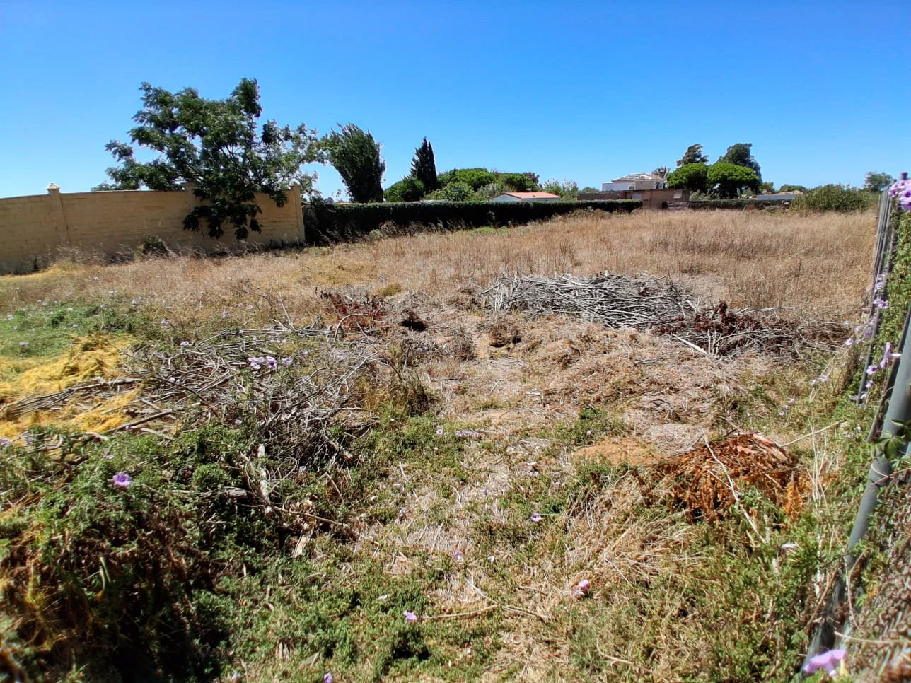 Rustic Pinar plot with 2,000 m²