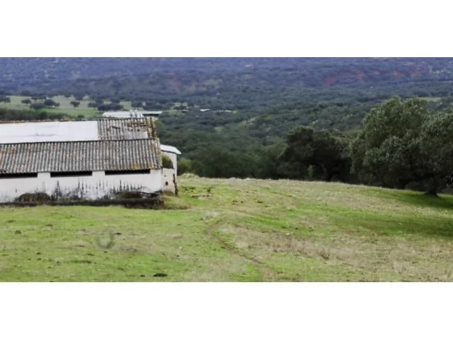 Large Jerez land plot, 420,000 m²