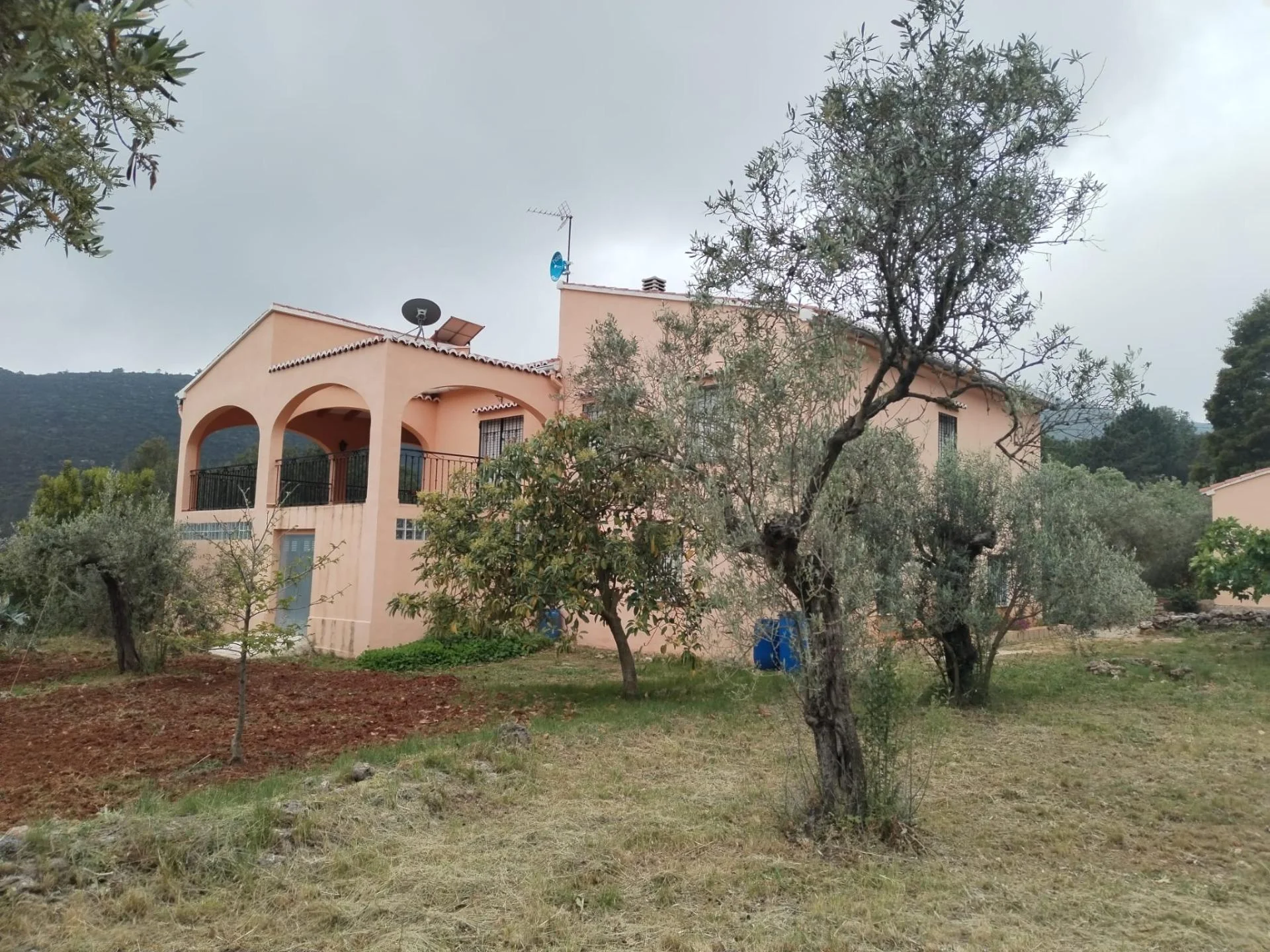 Rural estate with 20,000 m² plot